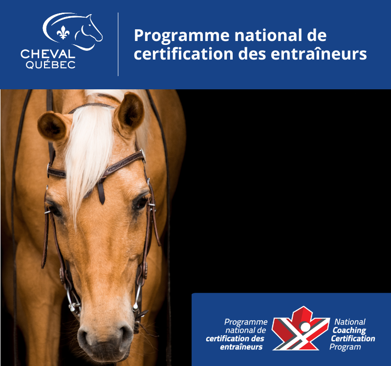 Entraîneur de compétition PNCE/CE Équitation western